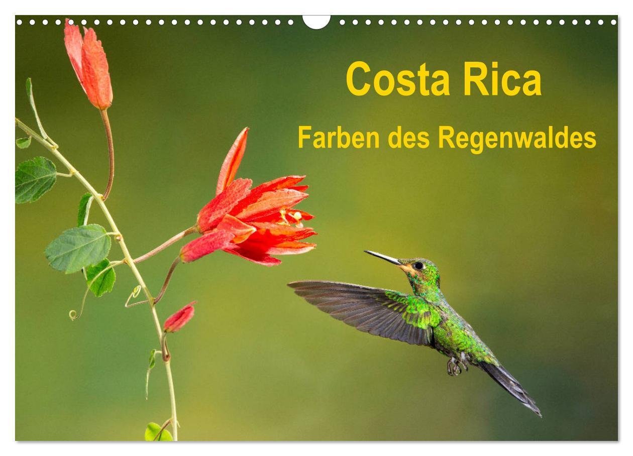 Cover: 9783435328819 | Costa Rica - Farben des Regenwaldes (Wandkalender 2025 DIN A3...