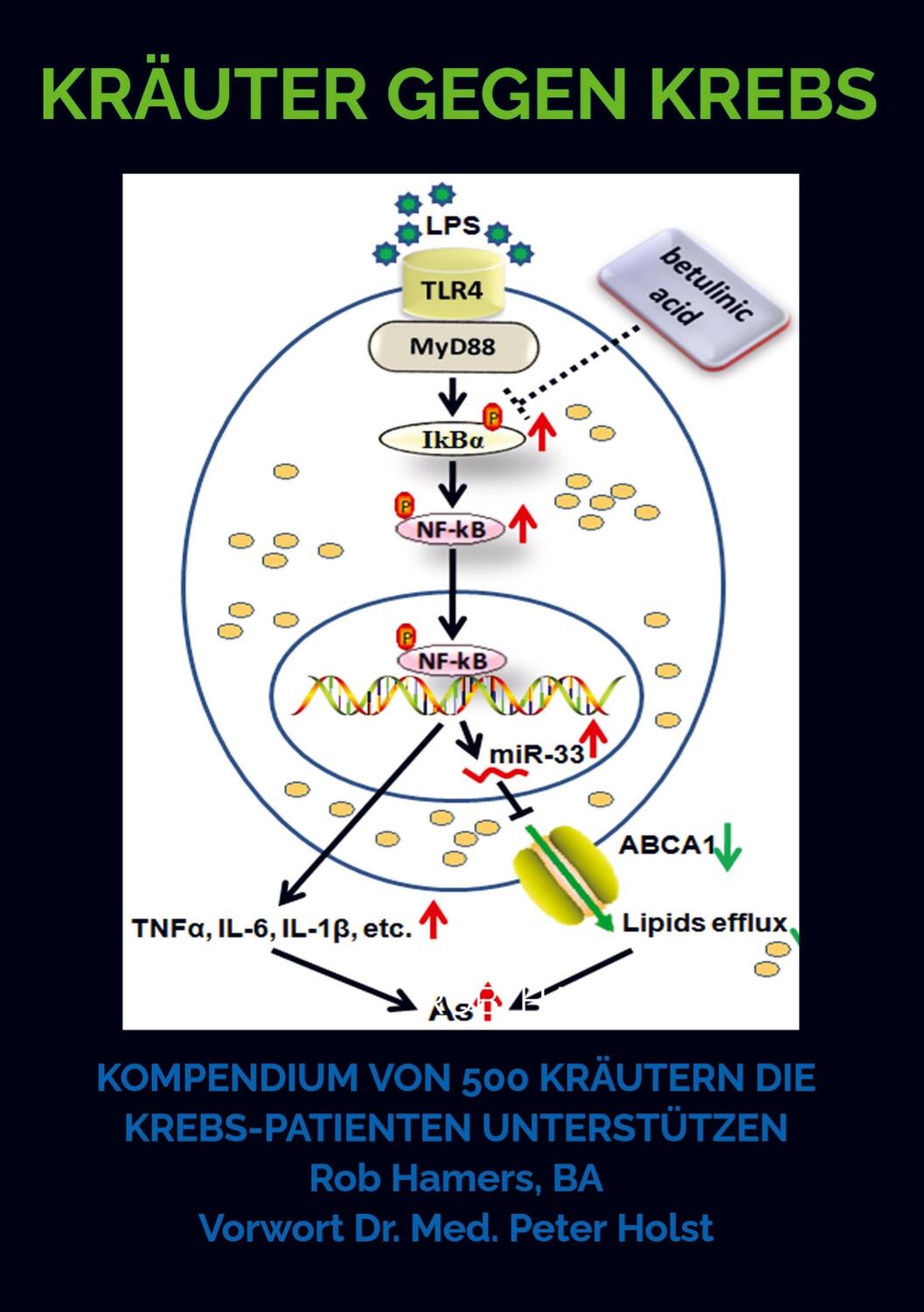 Cover: 9789403631295 | Kräuter gegen Krebs | Rob Hamers | Taschenbuch | Paperback | Deutsch