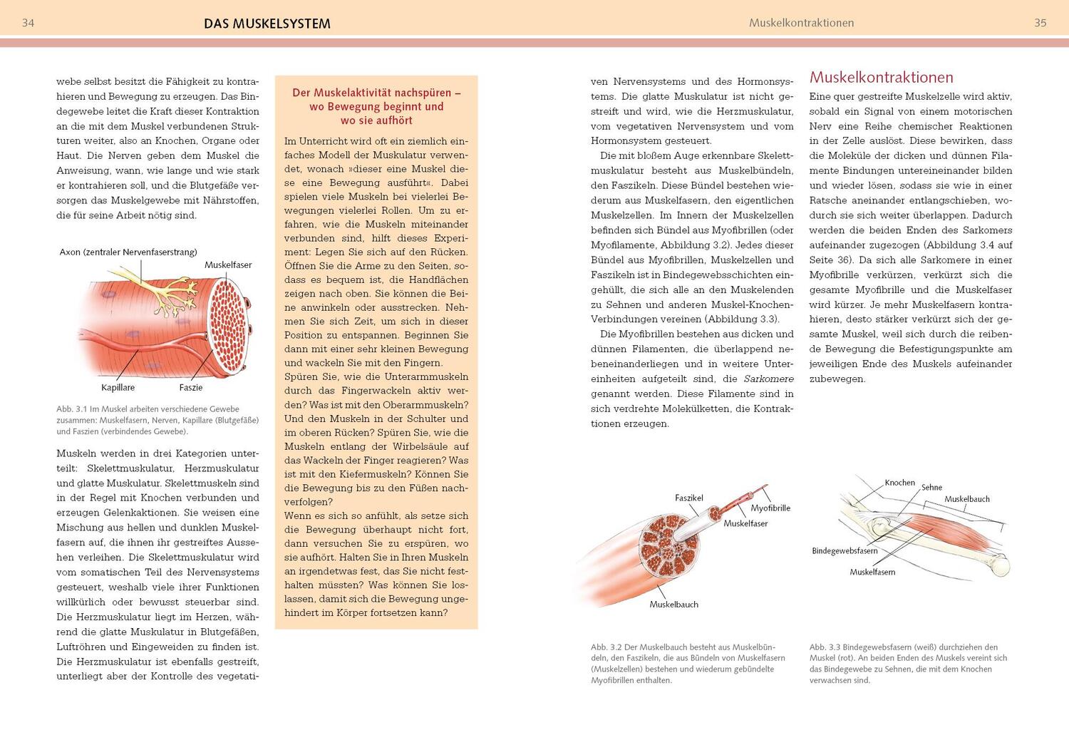 Bild: 9783742320513 | Yoga-Anatomie | Leslie Kaminoff (u. a.) | Taschenbuch | 384 S. | 2022