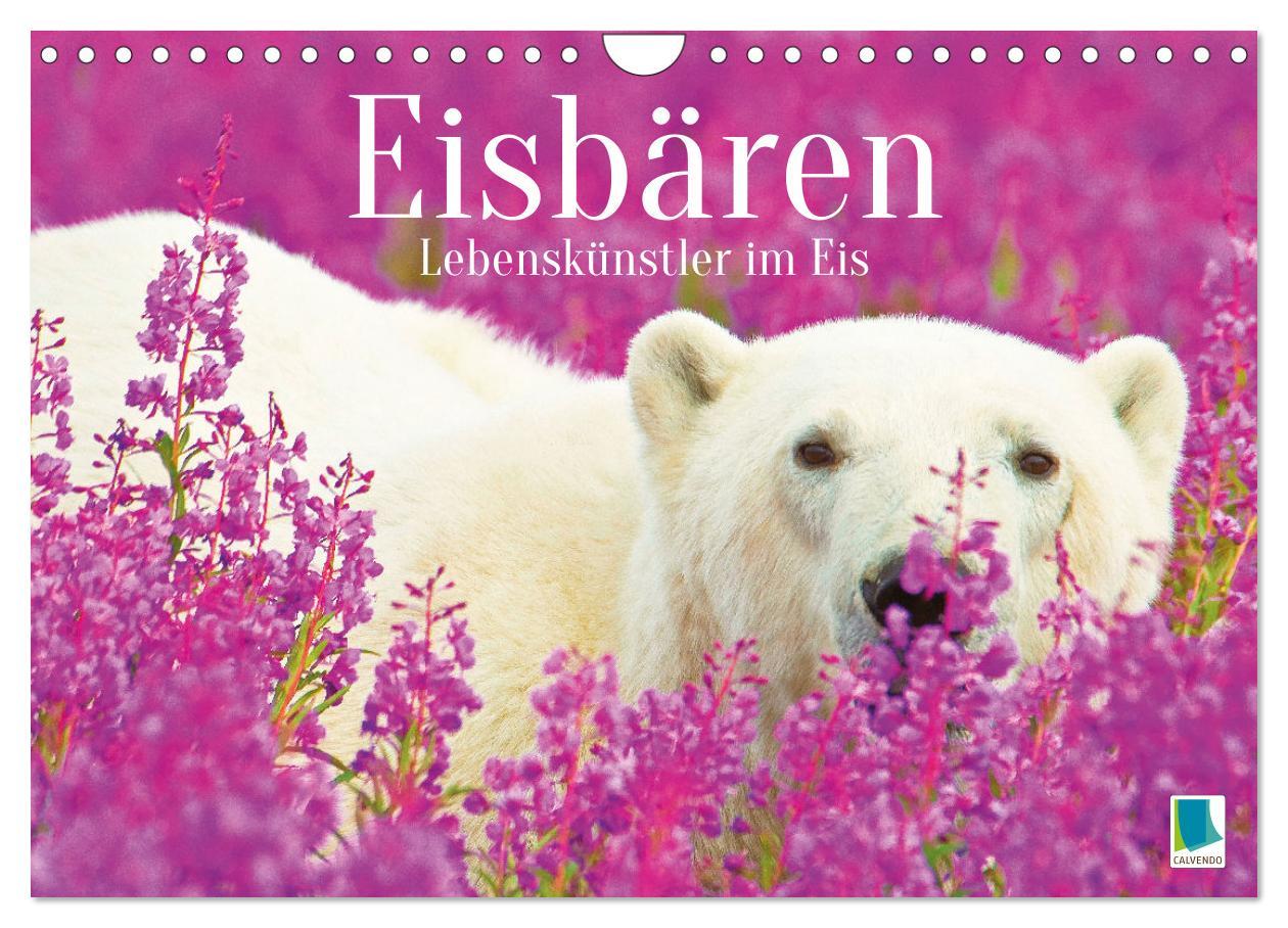 Cover: 9783457140376 | Eisbären: Lebenskünstler im Eis (Wandkalender 2025 DIN A4 quer),...