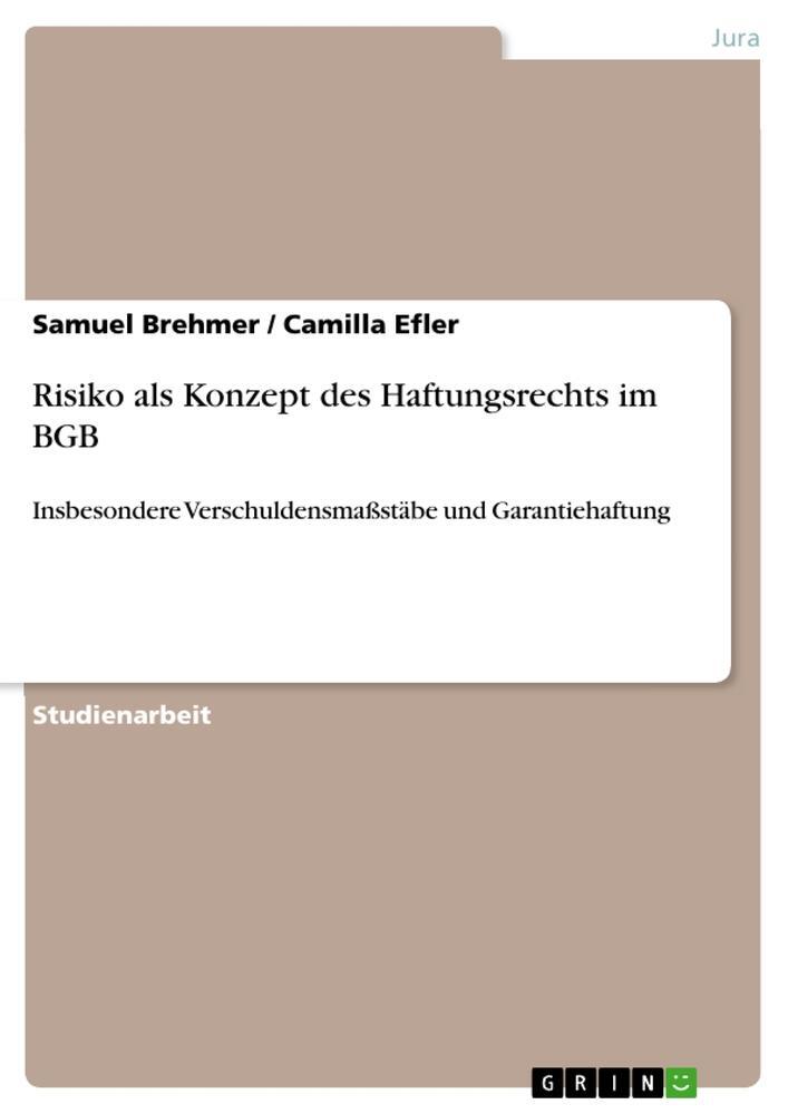 Cover: 9783668369429 | Risiko als Konzept des Haftungsrechts im BGB | Samuel Brehmer (u. a.)