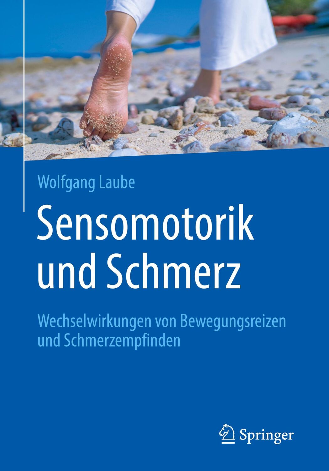 Cover: 9783662605110 | Sensomotorik und Schmerz | Wolfgang Laube | Taschenbuch | xvii | 2020