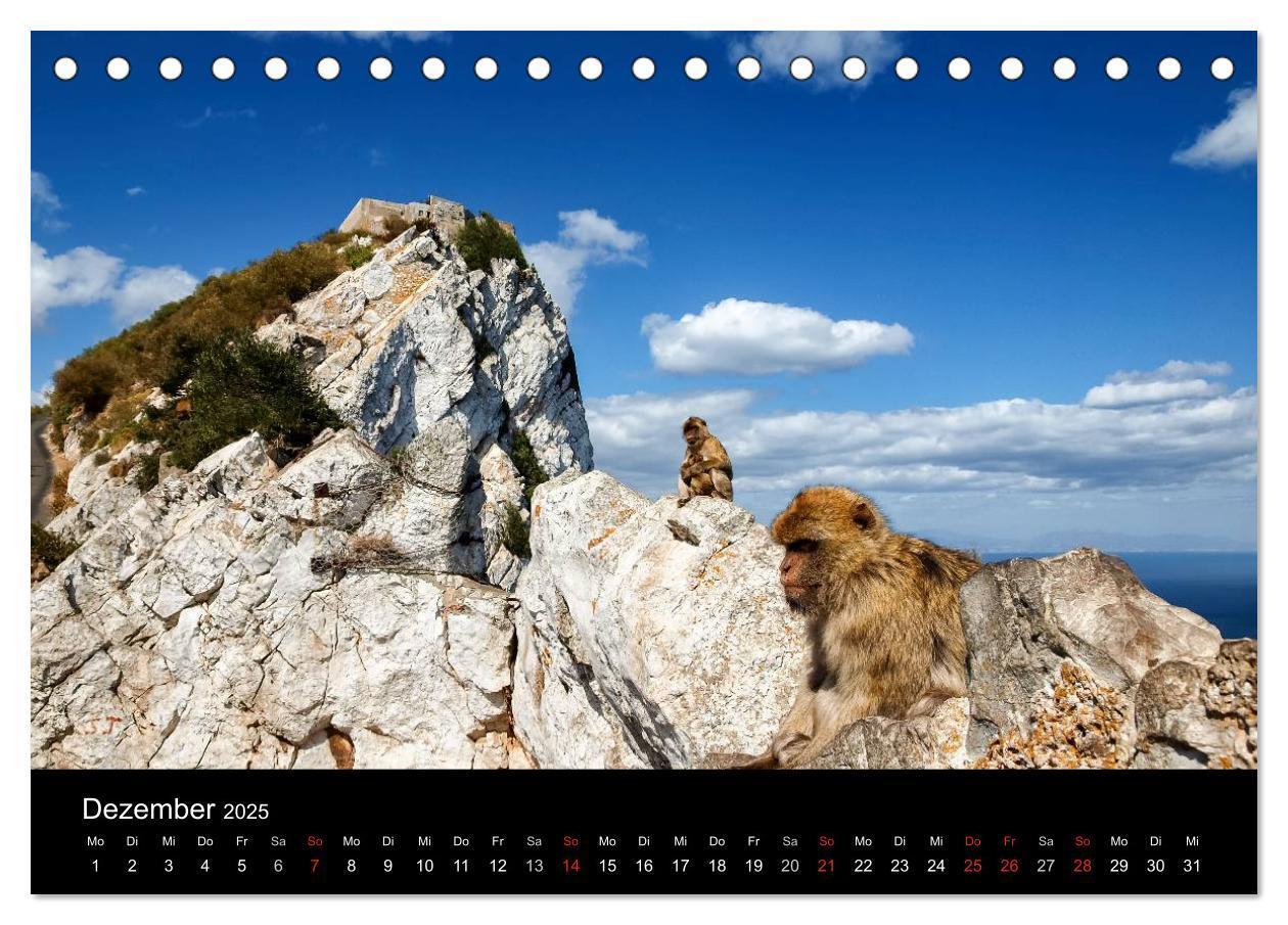 Bild: 9783435492879 | Gibraltar - der Affenfelsen (Tischkalender 2025 DIN A5 quer),...