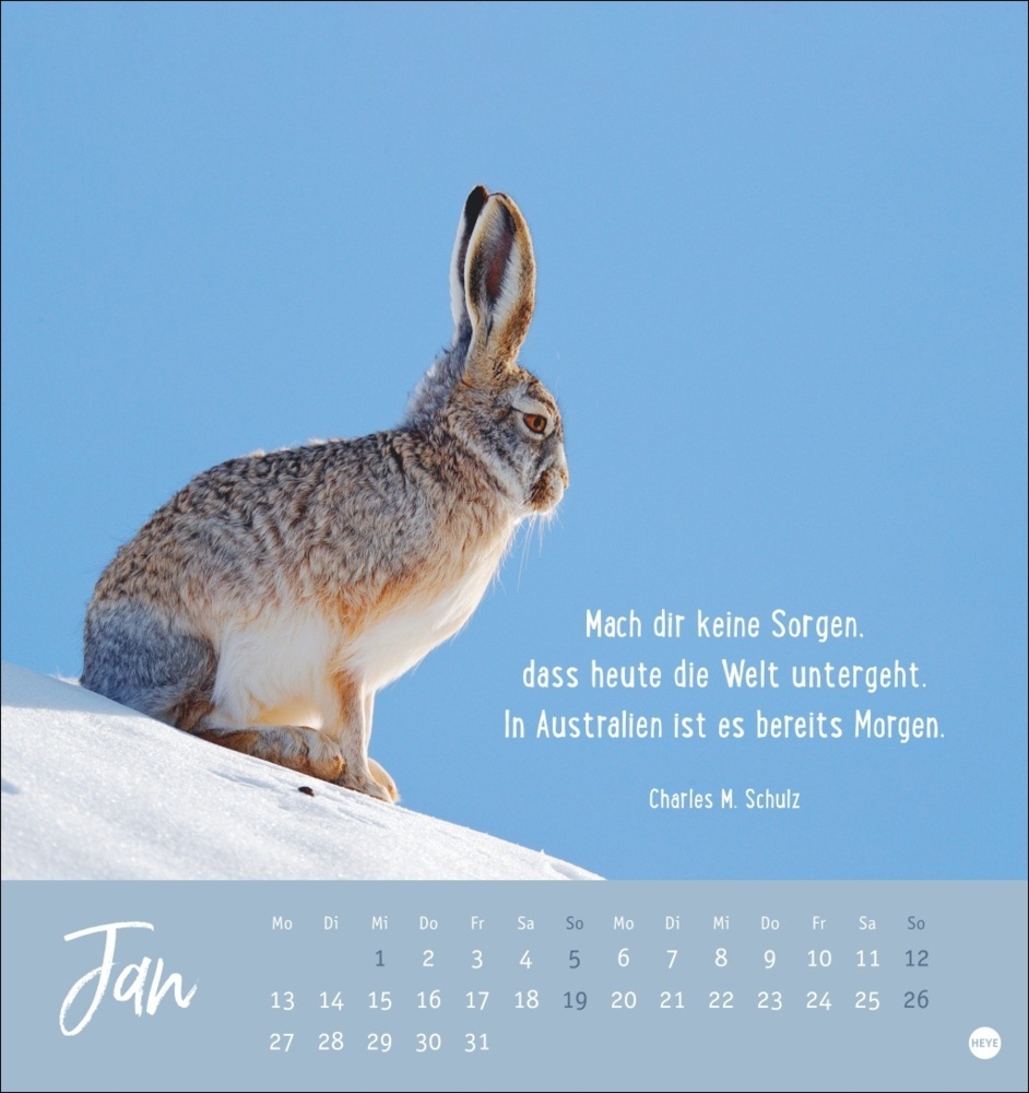 Bild: 9783756407132 | Never give up! Postkartenkalender 2025 | Kalender | Spiralbindung