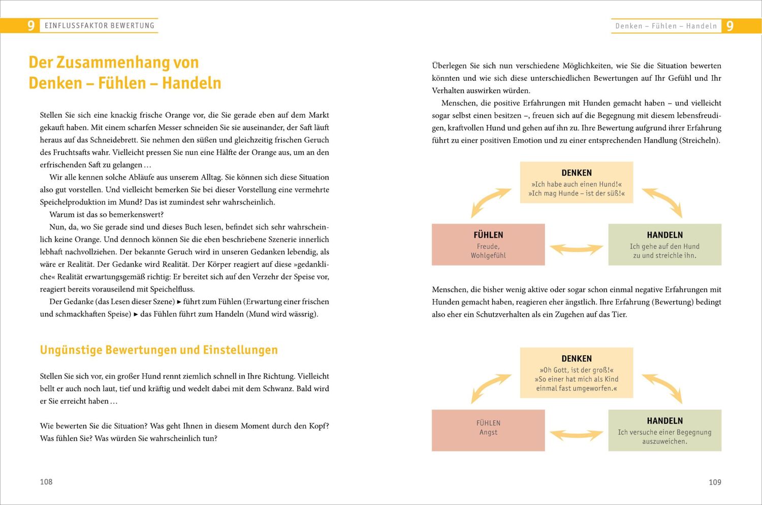 Bild: 9783517099248 | Die Tinnitus-Lösung | Markus Schwabbaur | Taschenbuch | 192 S. | 2021