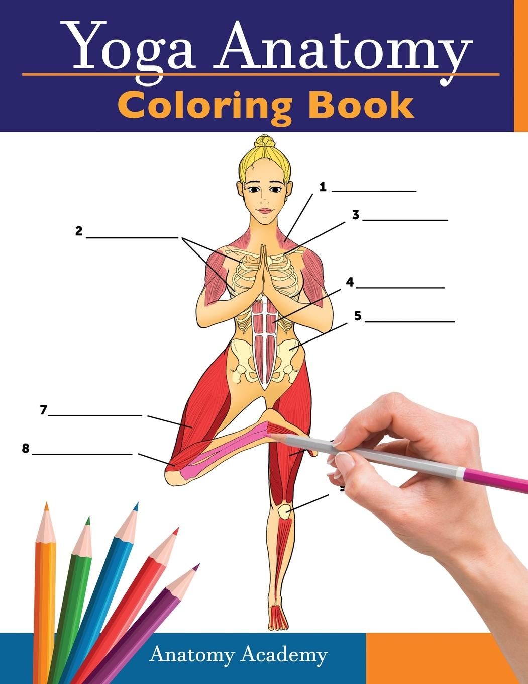 Cover: 9781914207037 | Yoga Anatomy Coloring Book | Anatomy Academy | Taschenbuch | Englisch