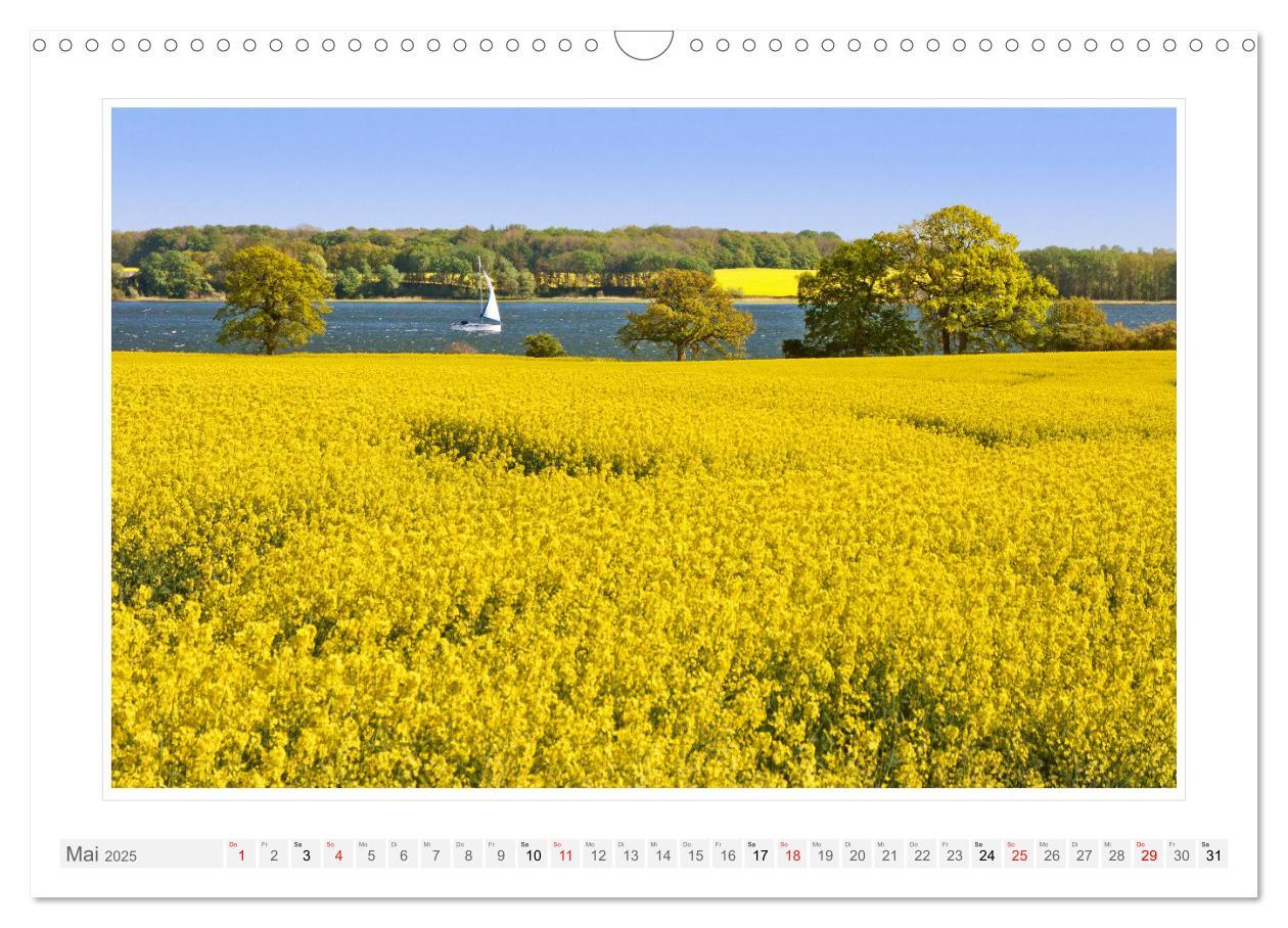 Bild: 9783457230589 | Rund um die Schlei (Wandkalender 2025 DIN A3 quer), CALVENDO...