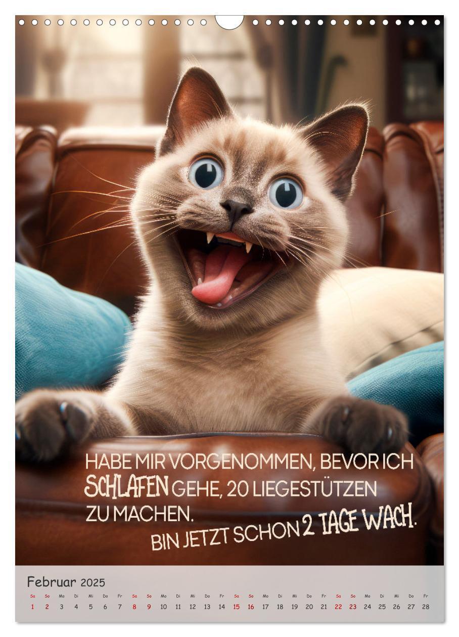 Bild: 9783383771439 | COOLE KATZEN Sprücheklopfer (Wandkalender 2025 DIN A3 hoch),...