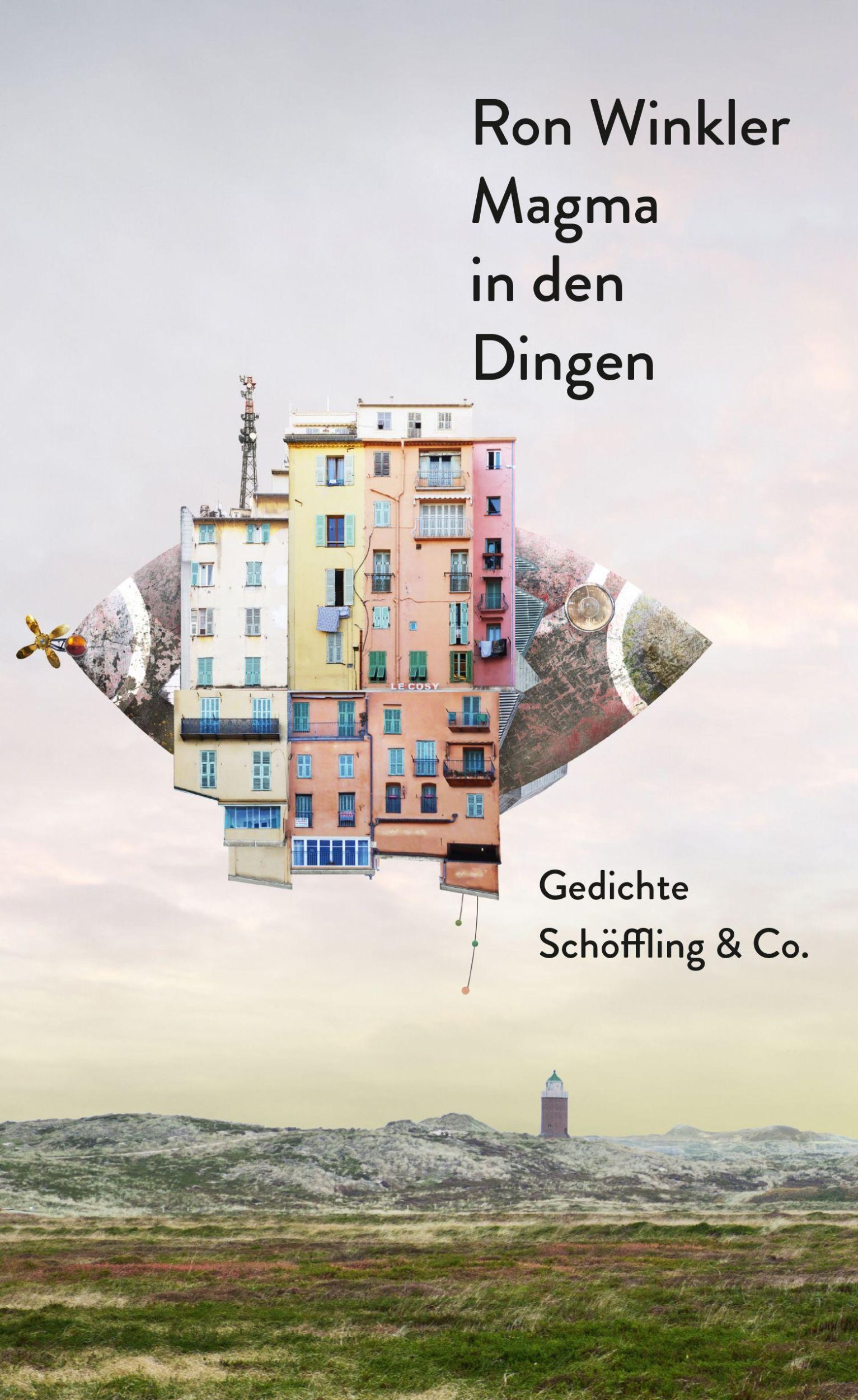 Cover: 9783895612190 | Magma in den Dingen | Gedichte | Ron Winkler | Buch | 102 S. | Deutsch