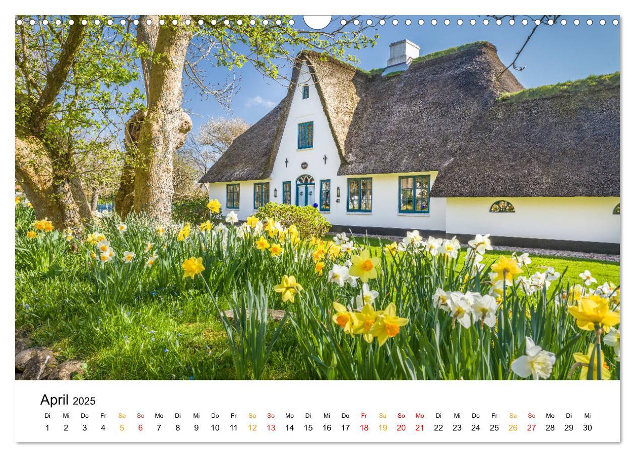 Bild: 9783435152254 | Sylter Friesenhäuser (Wandkalender 2025 DIN A3 quer), CALVENDO...