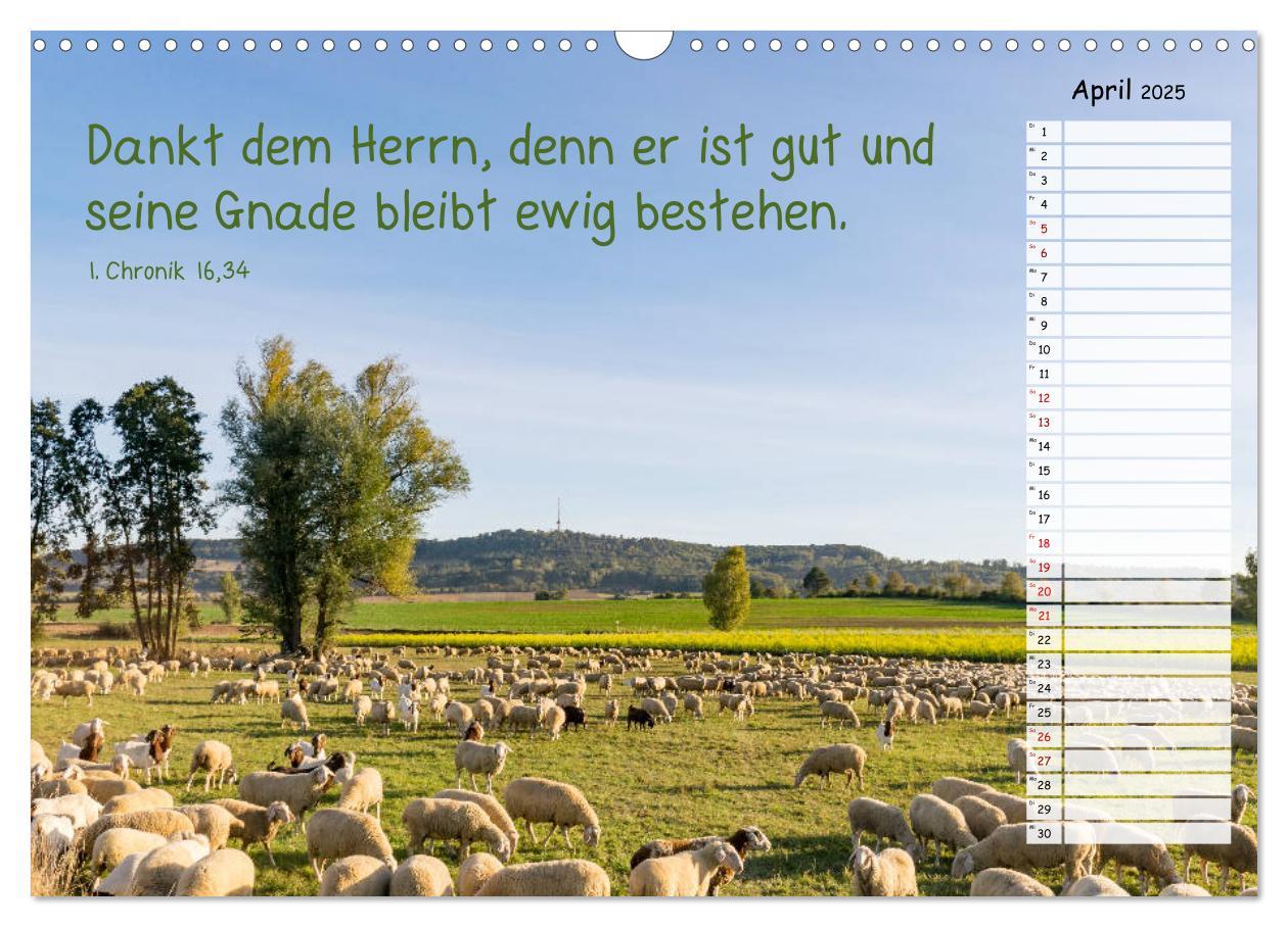 Bild: 9783435279289 | Heimat Hesselberg (Wandkalender 2025 DIN A3 quer), CALVENDO...