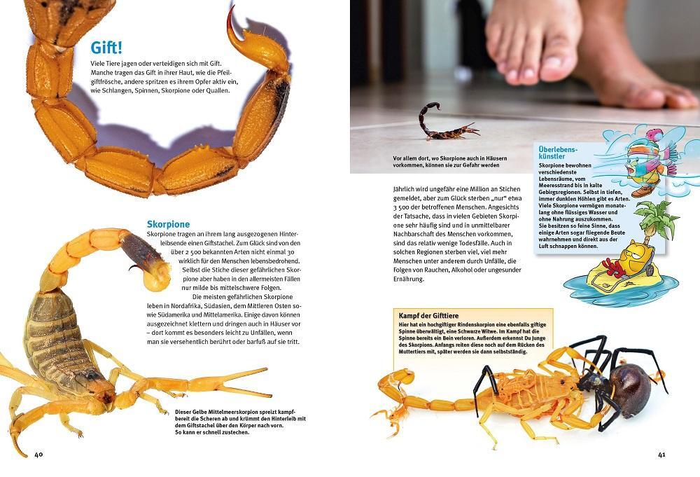 Bild: 9783866595101 | Entdecke die gefährlichsten Tiere | Kriton Kunz | Buch | 64 S. | 2024