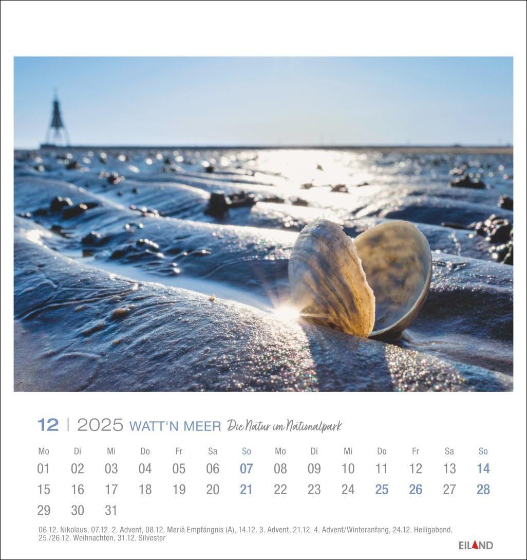 Bild: 9783964023285 | Watt'n Meer Postkartenkalender 2025 - Die Natur im Nationalpark | 2025