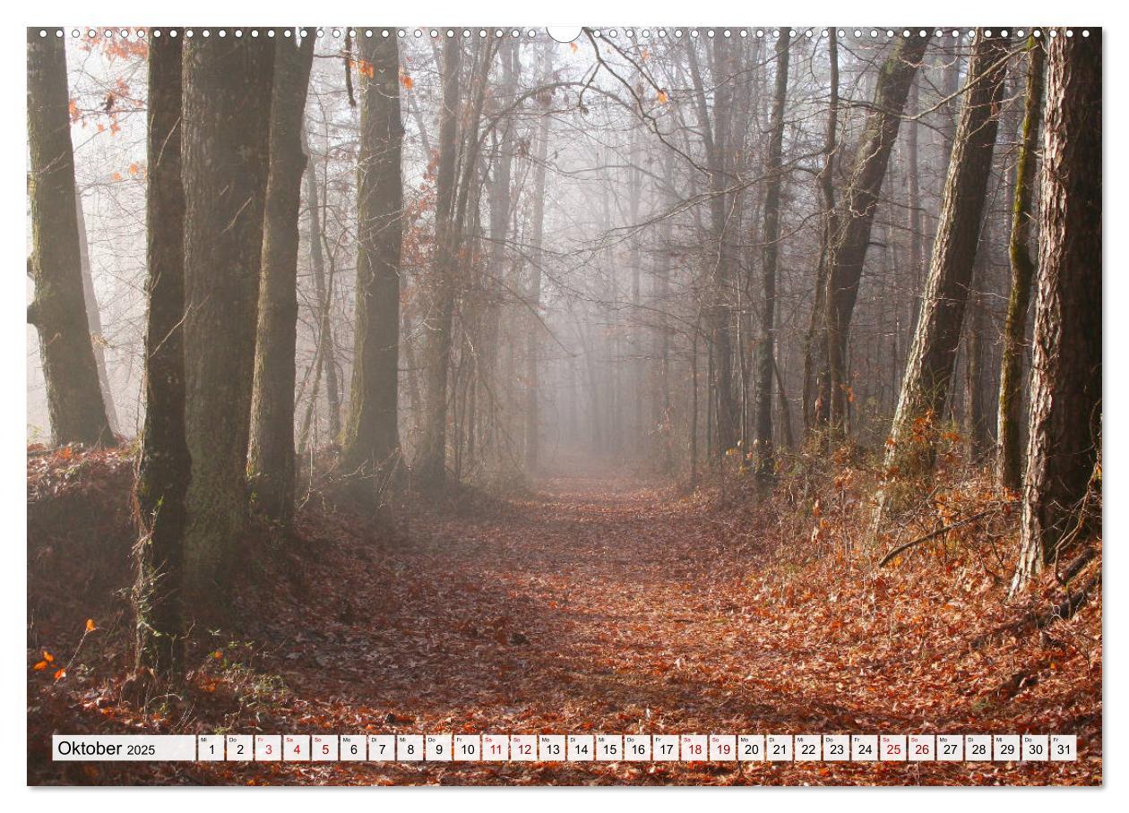 Bild: 9783435443444 | Göttererwachen. Die Natur im mystischen Nebel (Wandkalender 2025...