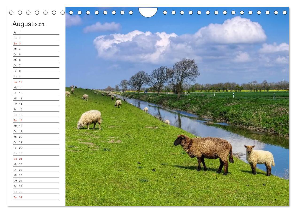 Bild: 9783435544189 | Ostfriesland - zwischen Watt und Moor (Wandkalender 2025 DIN A4...