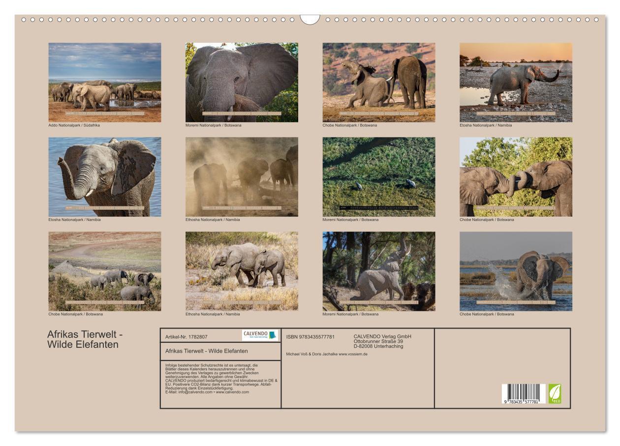 Bild: 9783435577781 | Afrikas Tierwelt - Wilde Elefanten (Wandkalender 2025 DIN A2 quer),...