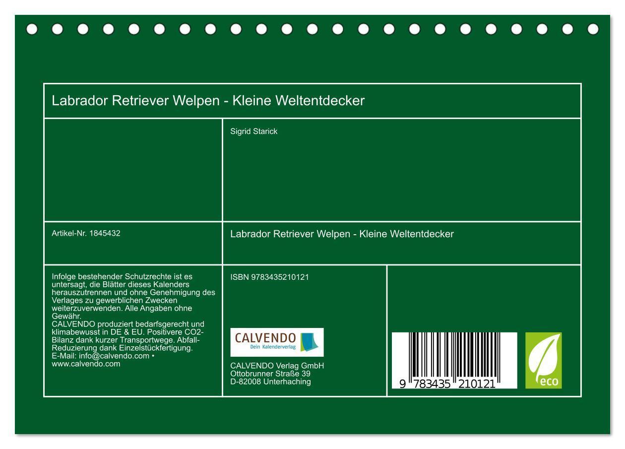 Bild: 9783435210121 | Labrador Retriever Welpen - Kleine Weltentdecker (Tischkalender...