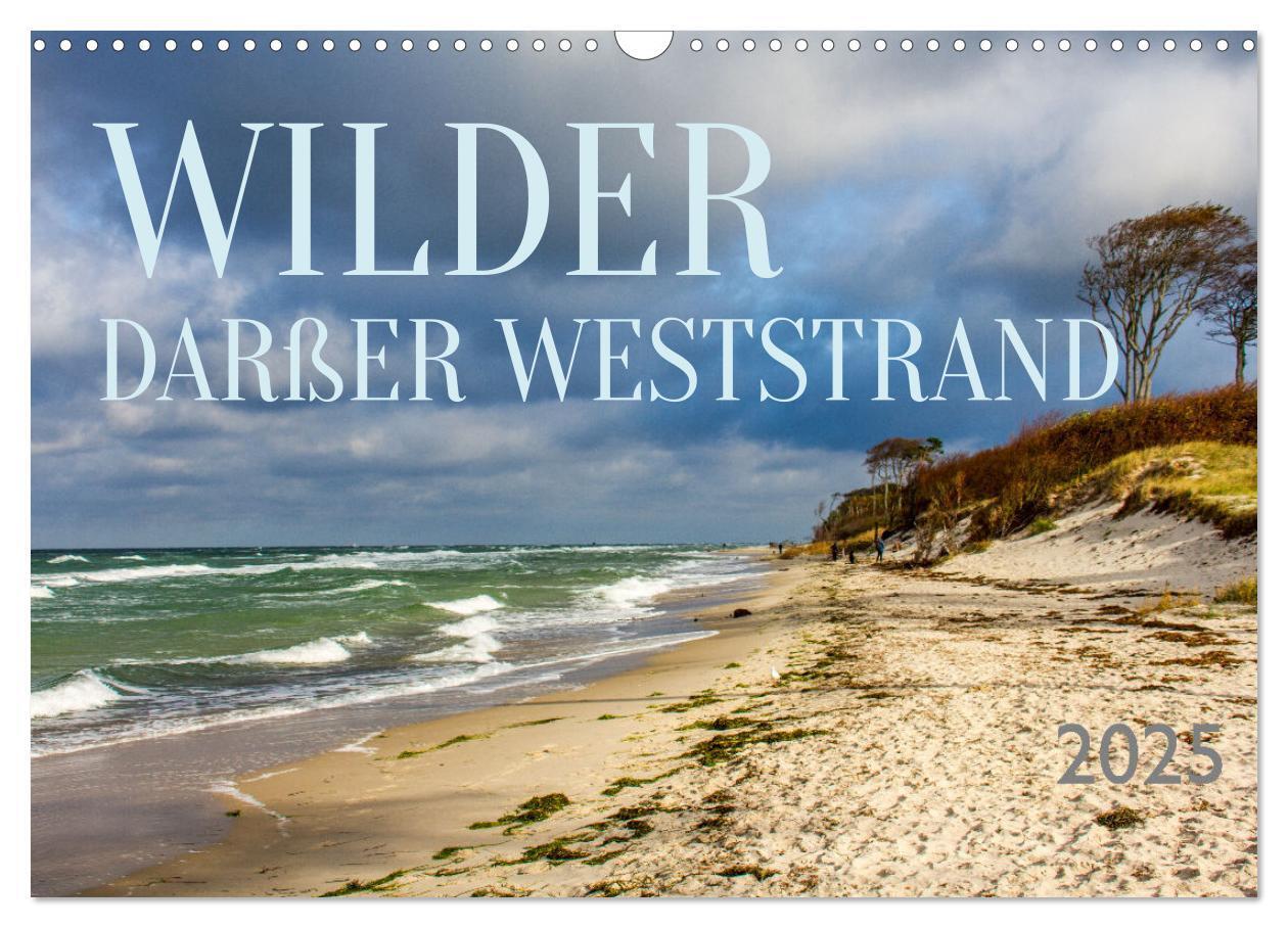 Cover: 9783383782282 | Wilder Darßer Weststrand (Wandkalender 2025 DIN A3 quer), CALVENDO...