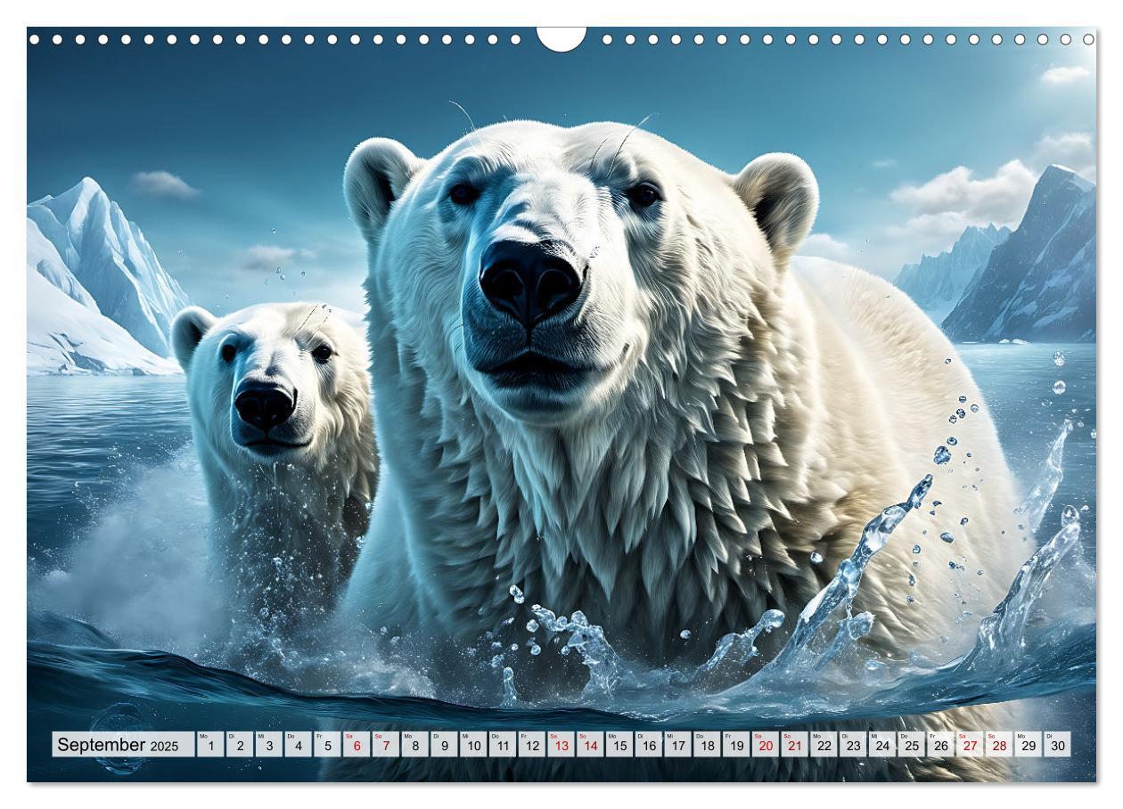 Bild: 9783383858529 | Im magischen Land der Eisbären (Wandkalender 2025 DIN A3 quer),...