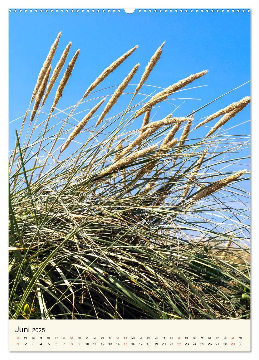 Bild: 9783435968992 | LANGEOOG Strandspaziergang (Wandkalender 2025 DIN A2 hoch),...