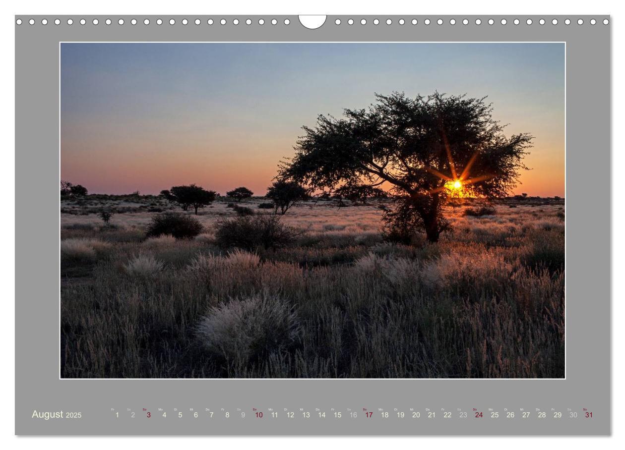 Bild: 9783435730421 | Namibia - Die Farben der Namib (Wandkalender 2025 DIN A3 quer),...