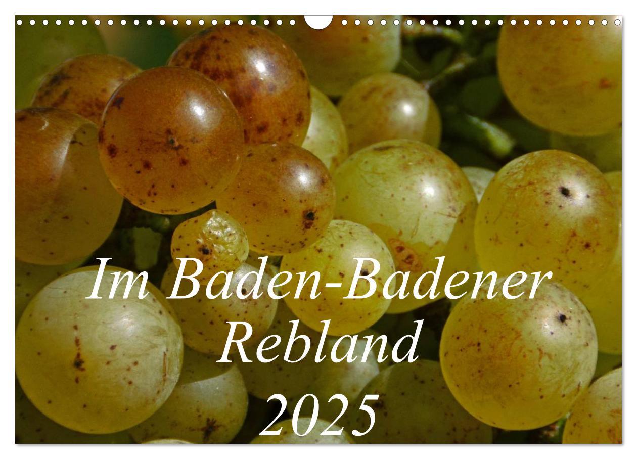 Cover: 9783435665082 | Im Baden-Badener Rebland 2025 (Wandkalender 2025 DIN A3 quer),...