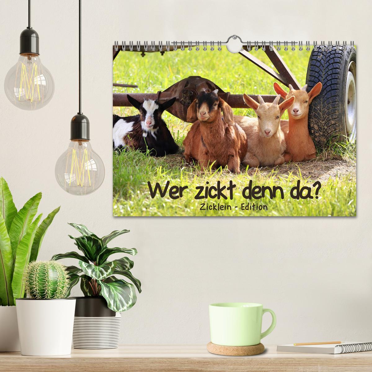 Bild: 9783435327799 | Wer zickt denn da? - Zicklein-Edition (Wandkalender 2025 DIN A4...