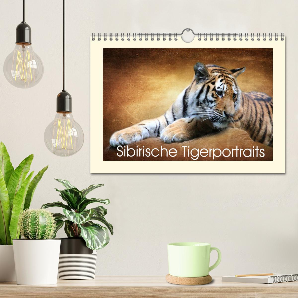 Bild: 9783435449378 | Sibirische Tigerportraits (Wandkalender 2025 DIN A4 quer), CALVENDO...