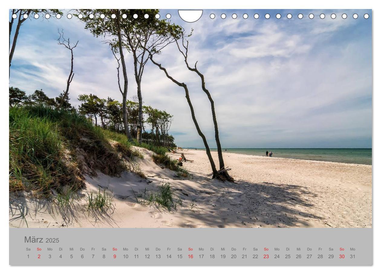 Bild: 9783435702312 | Ostsee, Fischland-Darß (Wandkalender 2025 DIN A4 quer), CALVENDO...