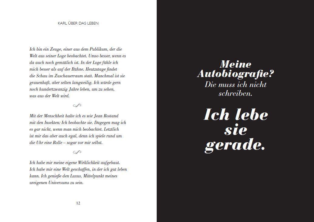 Bild: 9783791386768 | Karl und wie er die Welt sah | Jean-Christophe Napias (u. a.) | Buch