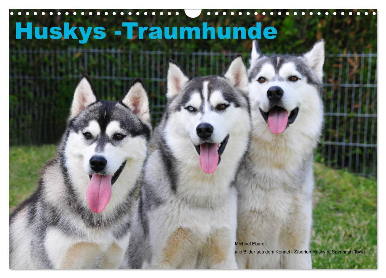 Cover: 9783435738939 | Huskys - Traumhunde (Wandkalender 2025 DIN A3 quer), CALVENDO...