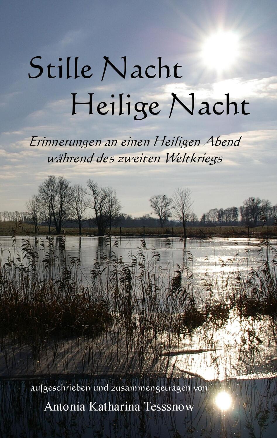 Cover: 9783740733193 | Stille Nacht, Heilige Nacht | Antonia Katharina Tessnow | Taschenbuch