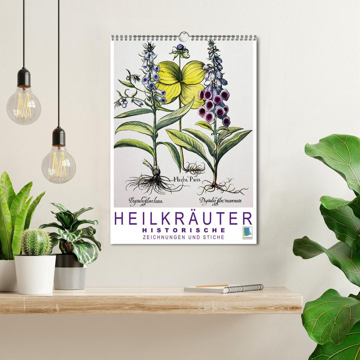 Bild: 9783457046401 | Heilkräuter: Historische Zeichnungen und Stiche (Wandkalender 2025...