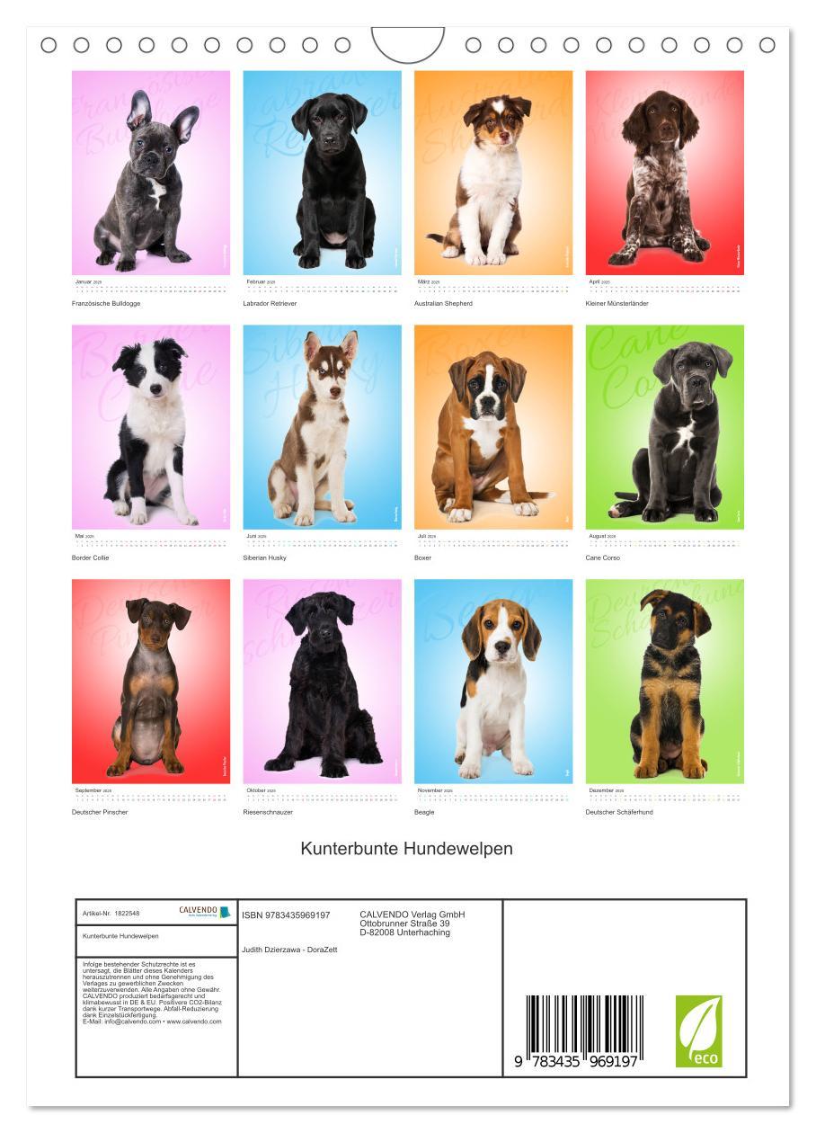 Bild: 9783435969197 | Kunterbunte Hundewelpen (Wandkalender 2025 DIN A4 hoch), CALVENDO...