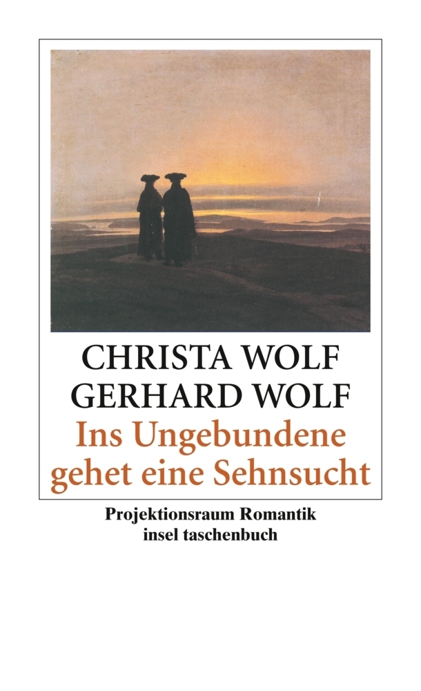 Cover: 9783458350804 | Ins Ungebundene gehet eine Sehnsucht | Projektionsraum Romantik | Buch