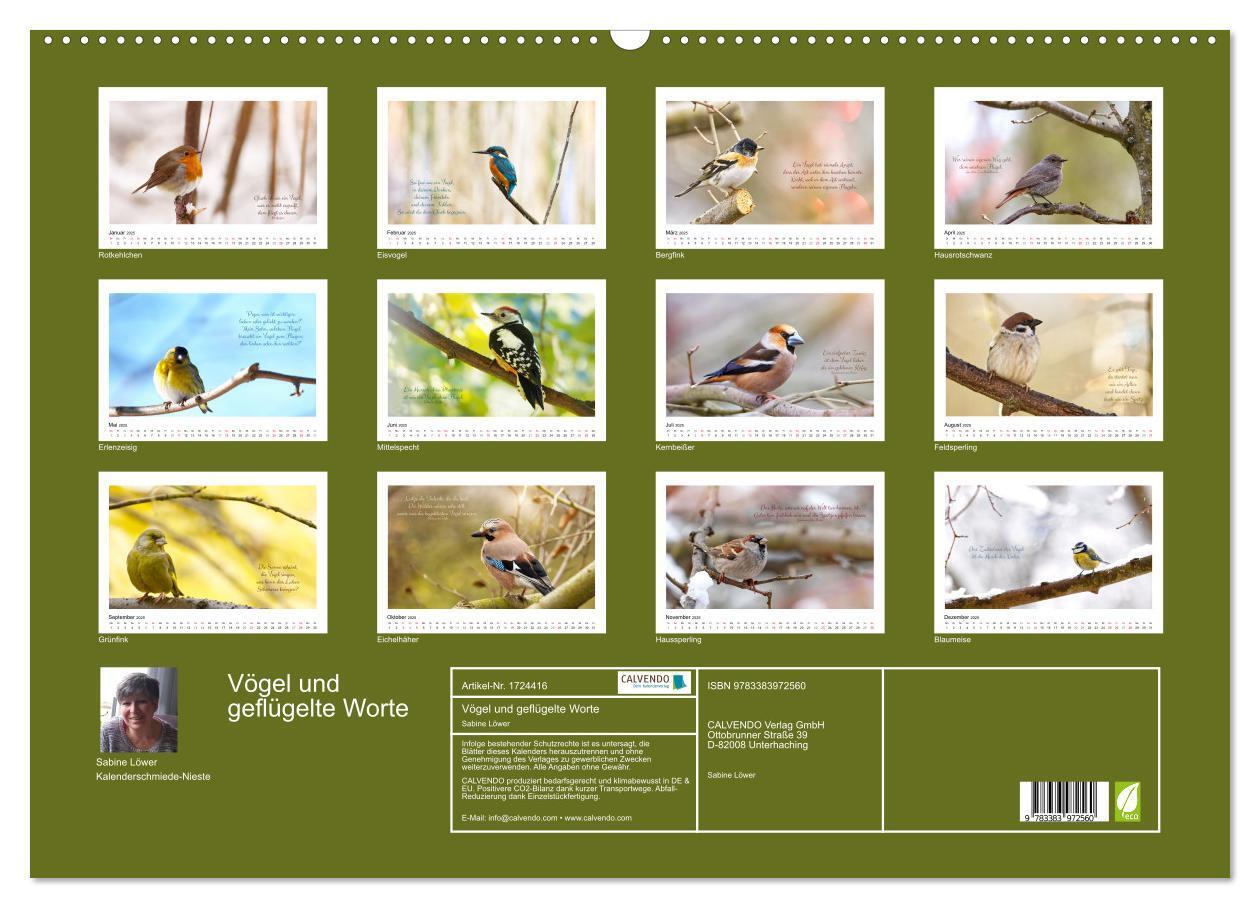 Bild: 9783383972560 | Vögel und geflügelte Worte (Wandkalender 2025 DIN A2 quer),...