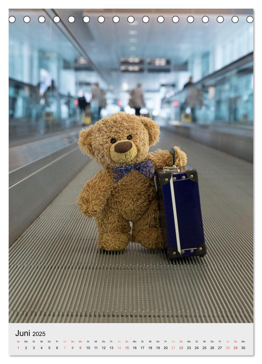 Bild: 9783435890262 | Travelling Teddy liebt es Bunt (Tischkalender 2025 DIN A5 hoch),...