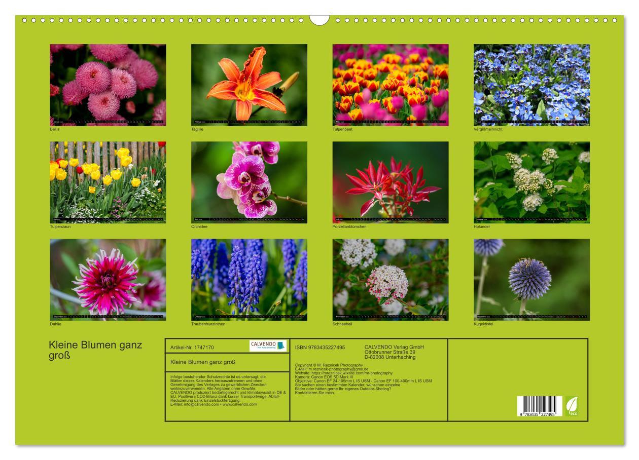 Bild: 9783435227495 | Kleine Blumen ganz groß (Wandkalender 2025 DIN A2 quer), CALVENDO...