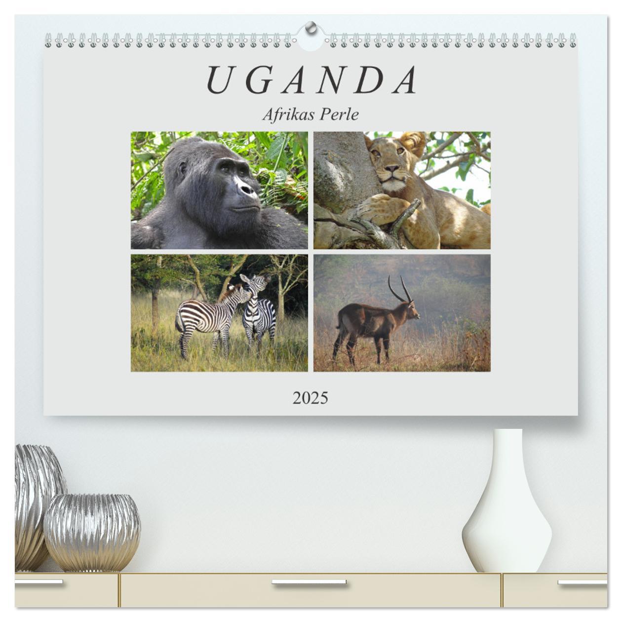 Cover: 9783435249343 | Afrikas Perle Uganda (hochwertiger Premium Wandkalender 2025 DIN A2...