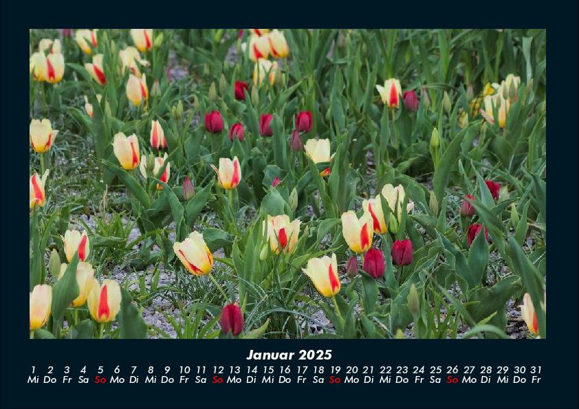 Bild: 9783755993346 | Blumenkalender 2025 Fotokalender DIN A4 | Tobias Becker | Kalender