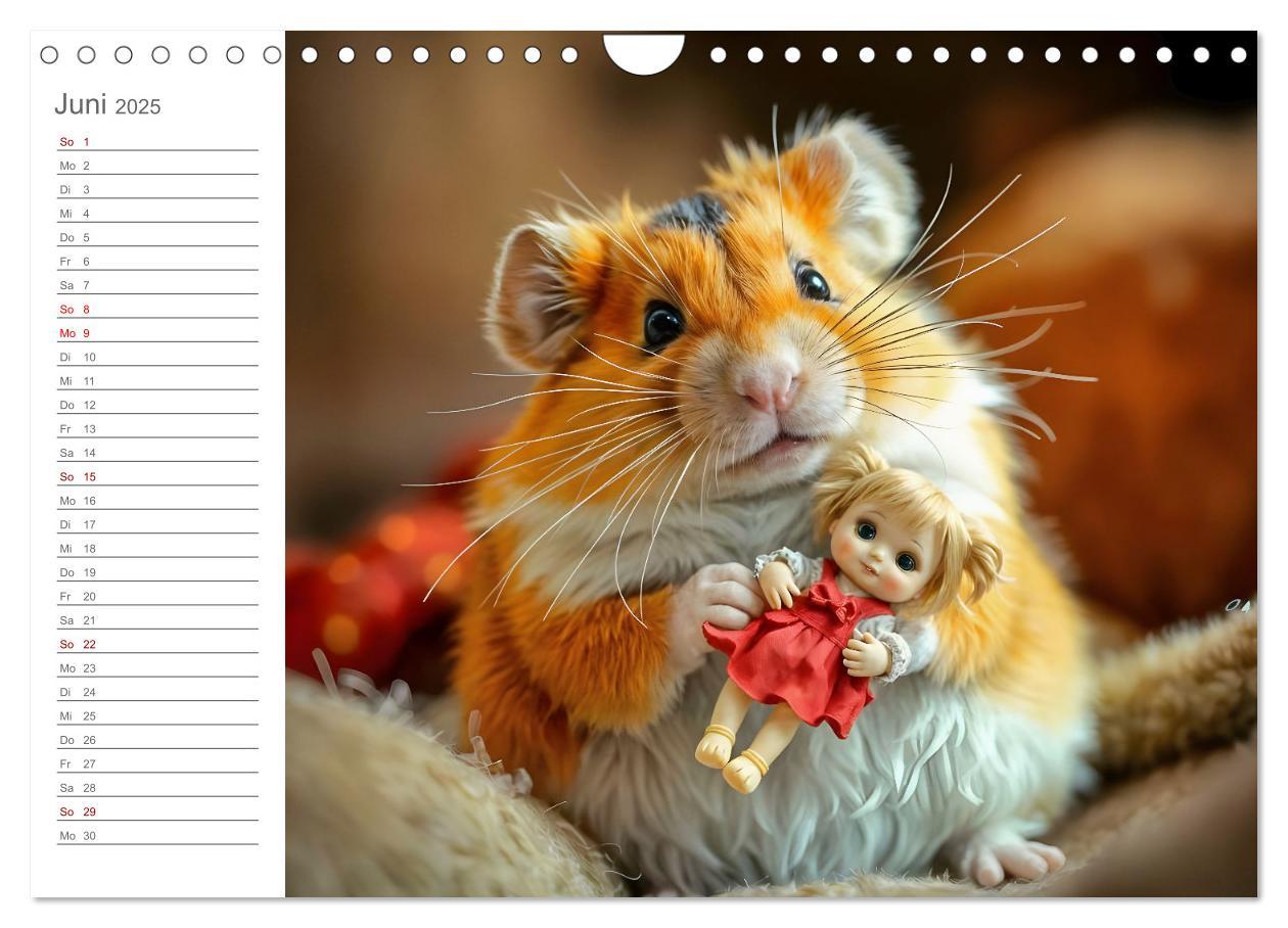 Bild: 9783457227312 | Spielzeit mit Schnuffel - Ein Hamster im Spielzeugparadies...