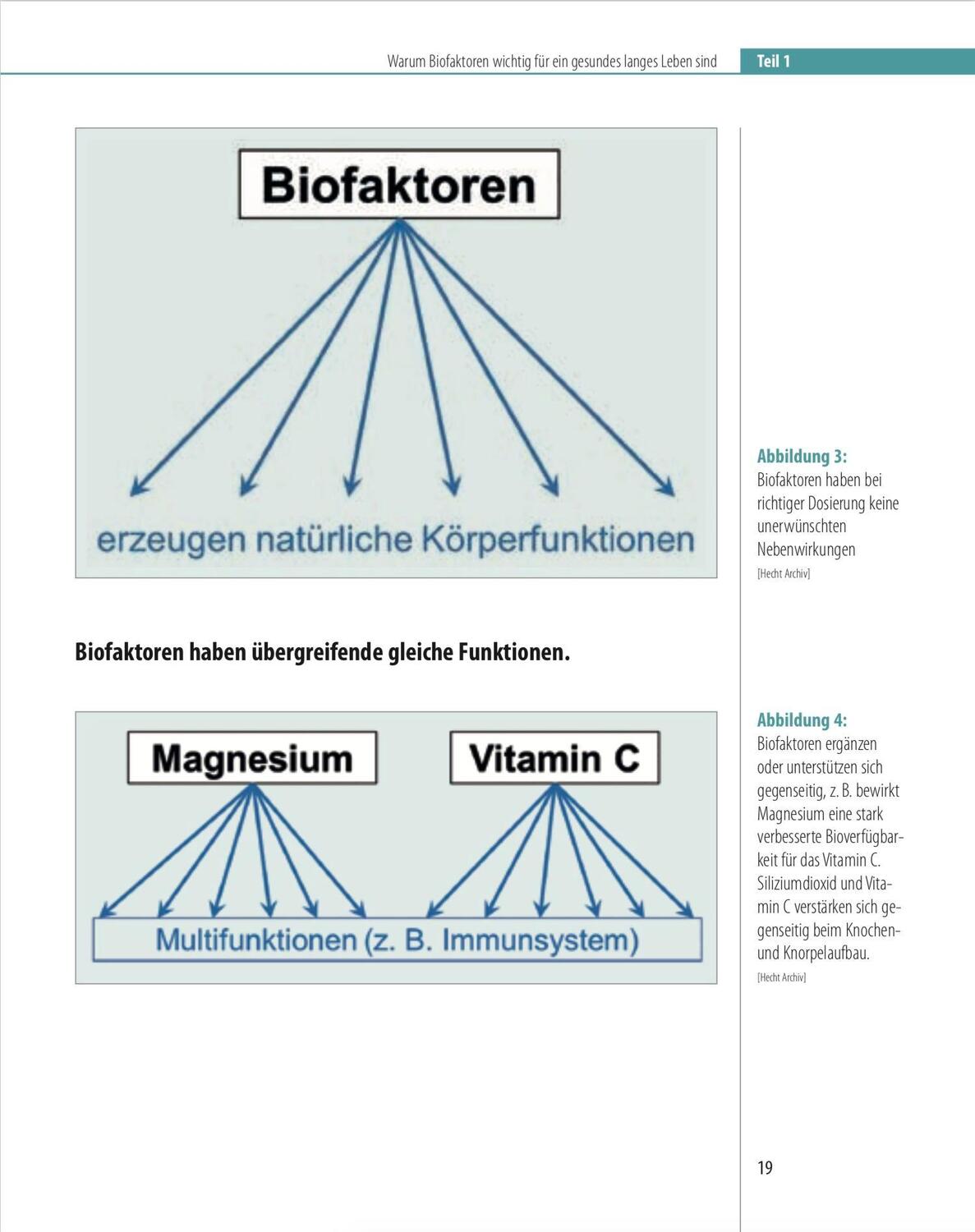 Bild: 9783887780678 | Biofaktoren für gesundes Altern | Karl Hecht | Taschenbuch | 164 S.