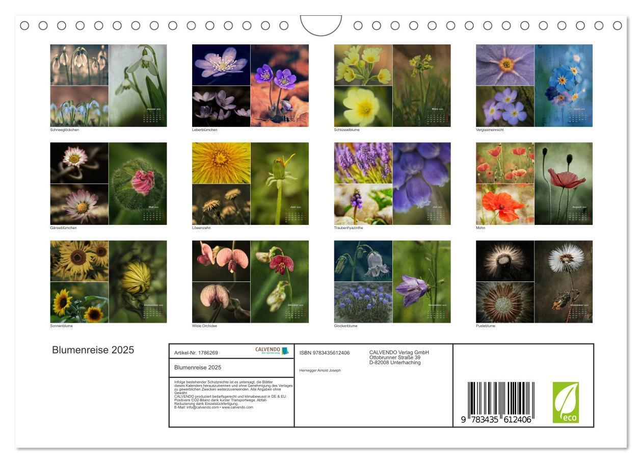 Bild: 9783435612406 | Blumenreise 2025 (Wandkalender 2025 DIN A4 quer), CALVENDO...