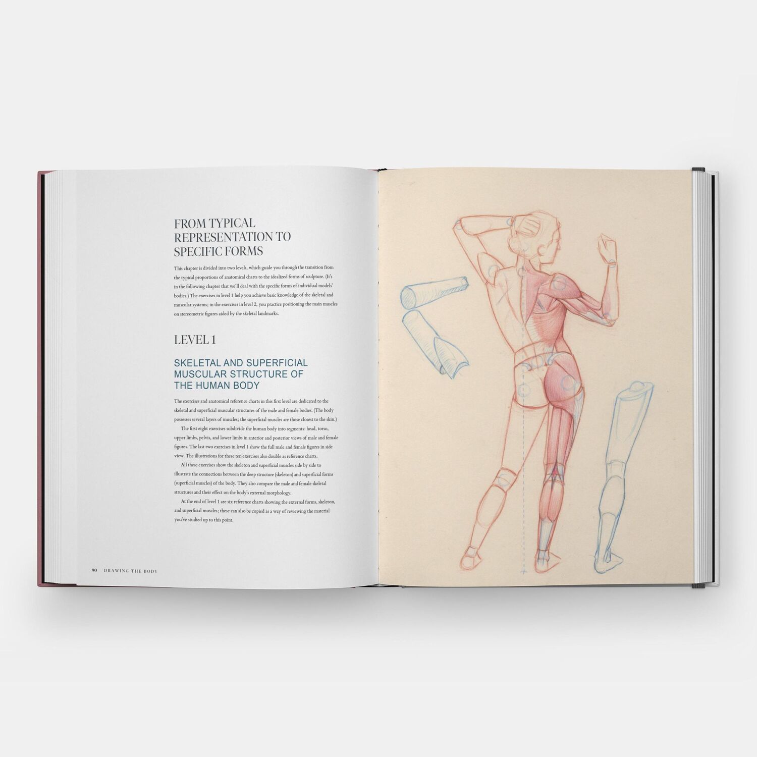 Bild: 9781580936453 | Drawing the Body | Reading the Human Form in Art | Roberto Osti | Buch