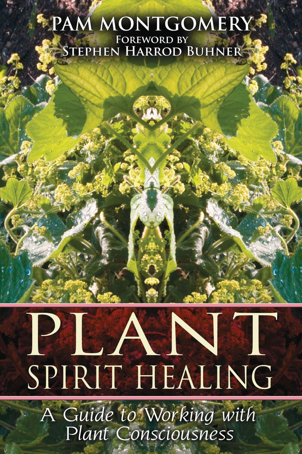 Cover: 9781591430773 | Plant Spirit Healing | A Guide to Working with Plant Consciousness