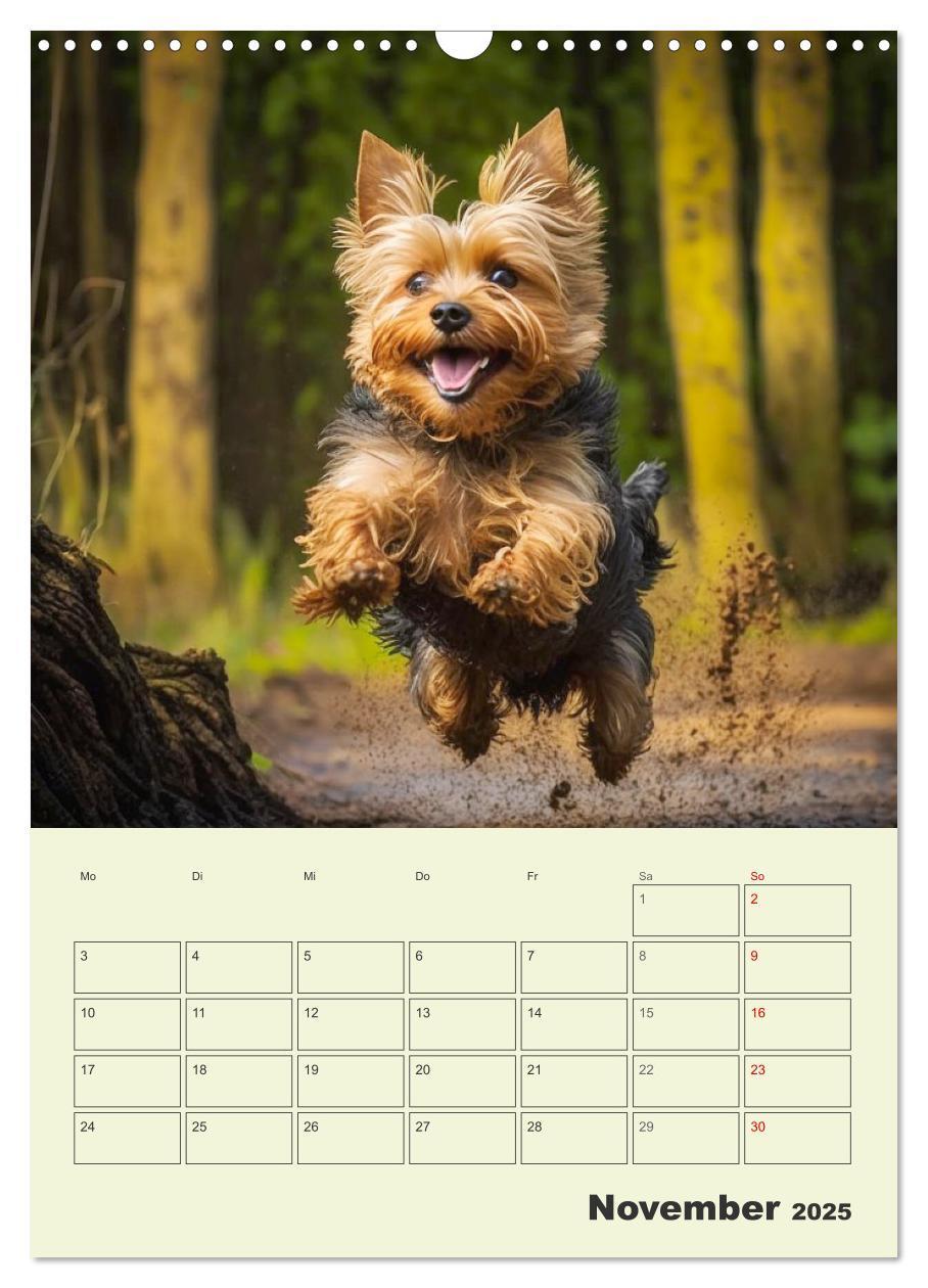 Bild: 9783435873715 | Yorkshire Terrier. Fröhliche Energiebündel in Aktion (Wandkalender...