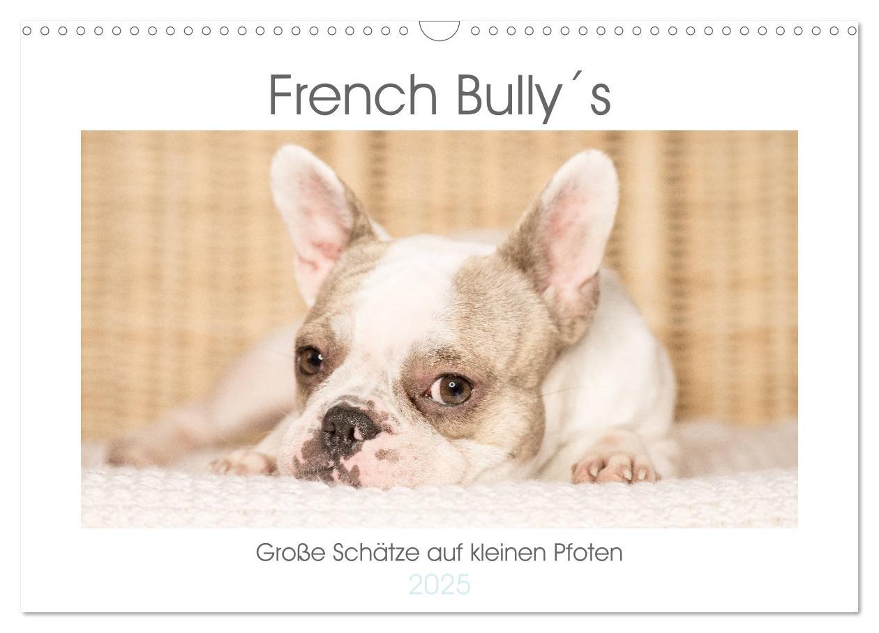 Cover: 9783435366835 | French Bully´s - Große Schätze auf kleinen Pfoten (Wandkalender...