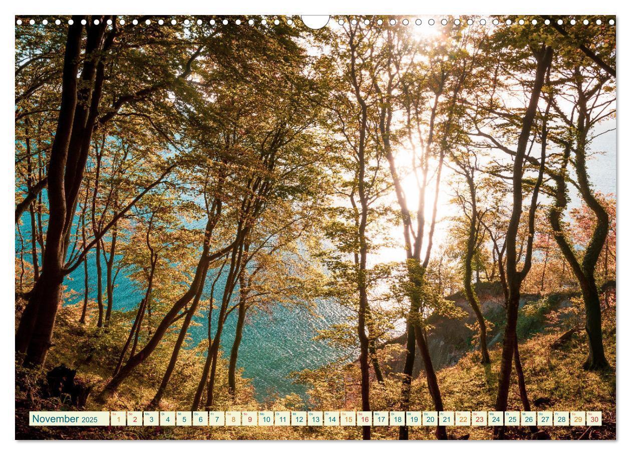 Bild: 9783383831959 | Insel Rügen - Malerische Kreideküste (Wandkalender 2025 DIN A3...