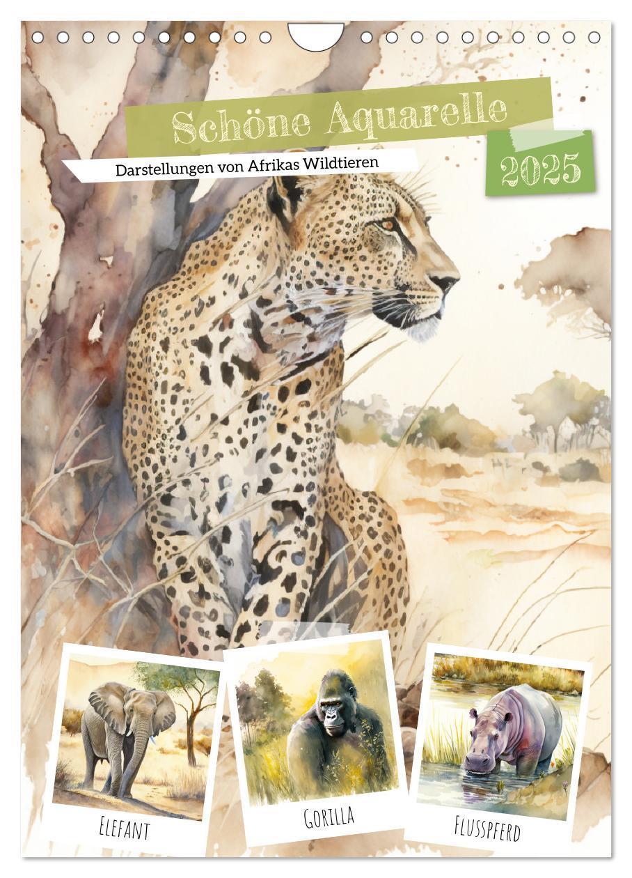 Cover: 9783435870462 | Schöne Aquarelle. Darstellungen von Afrikas Wildtieren...