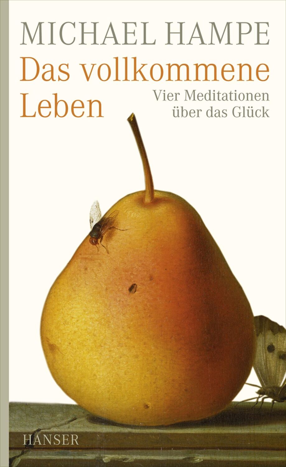 Cover: 9783446259072 | Das vollkommene Leben | Vier Meditationen über das Glück | Hampe